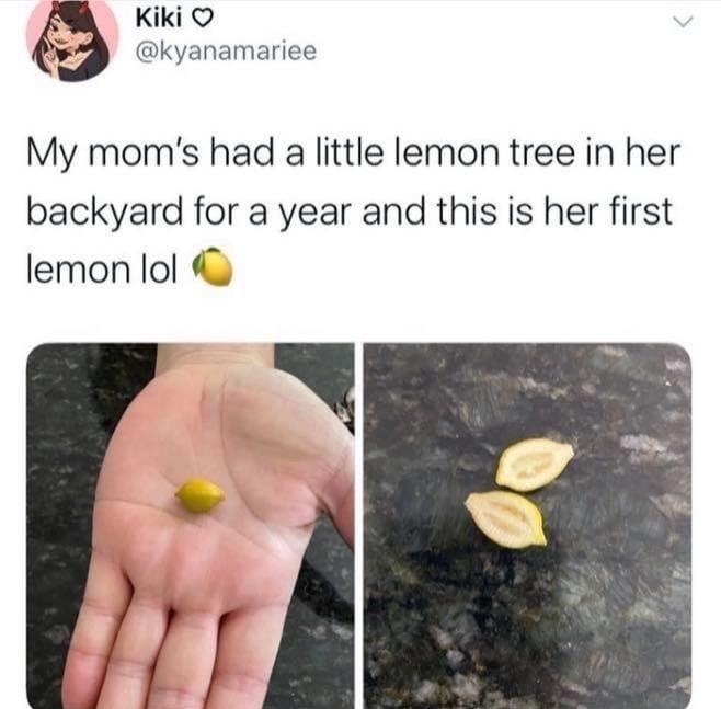 It was delicious