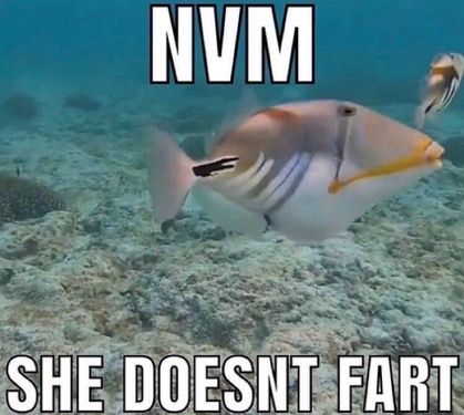 Fart