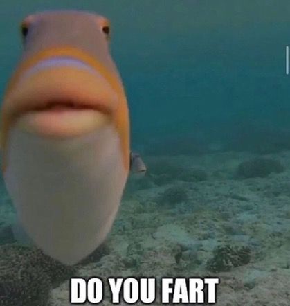 Did you?