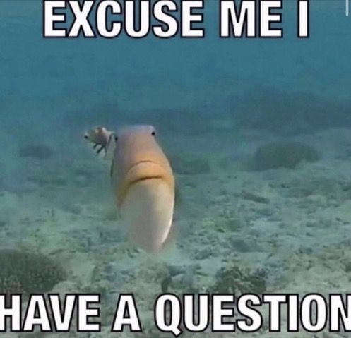 Hello?