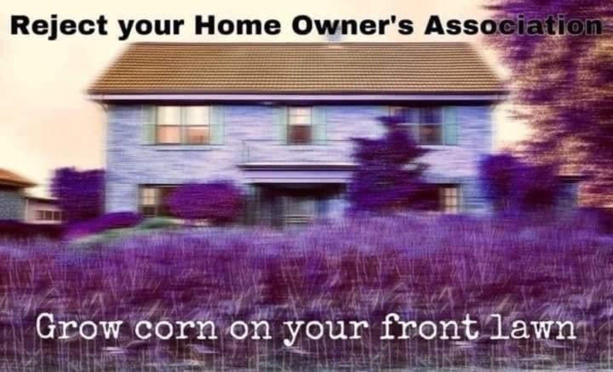 A group of Karens is called a Home Owners Association