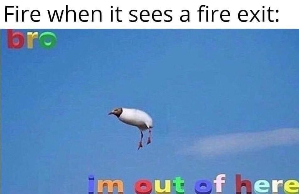 Fire out