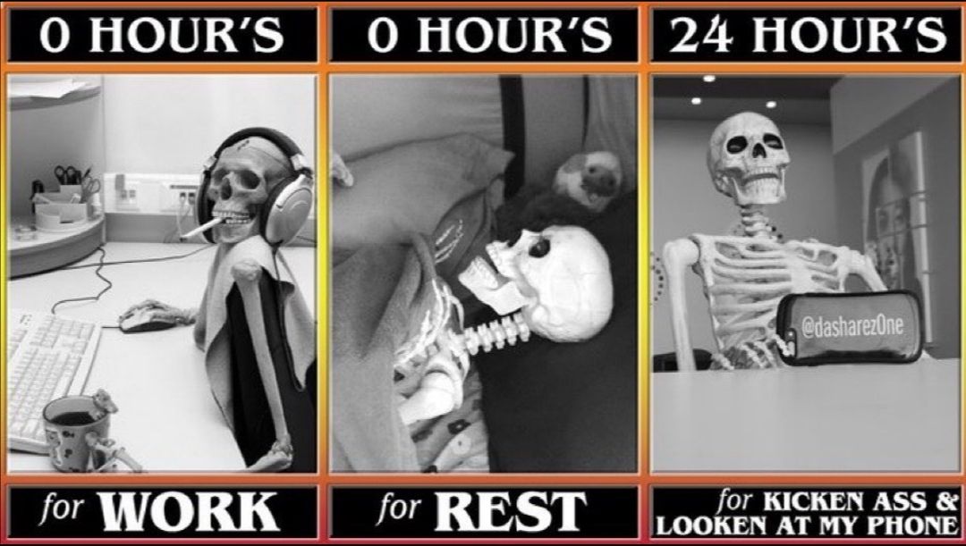 local BONE scours web for MEMES eternally