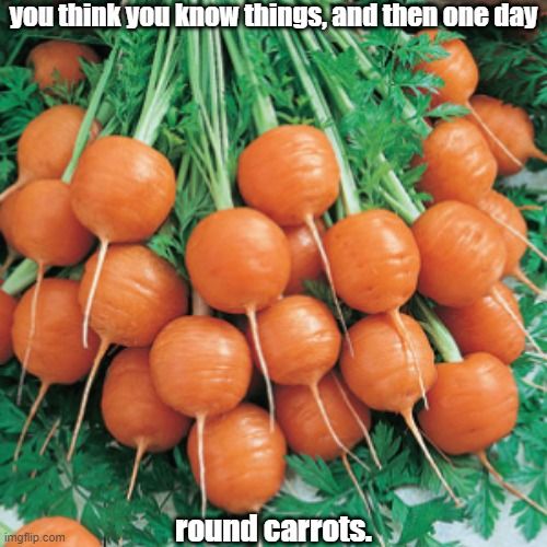 makes you think