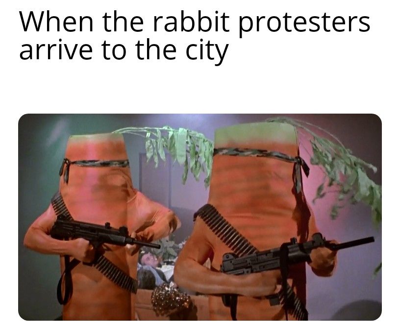 Big chungus doesnt hace a chance