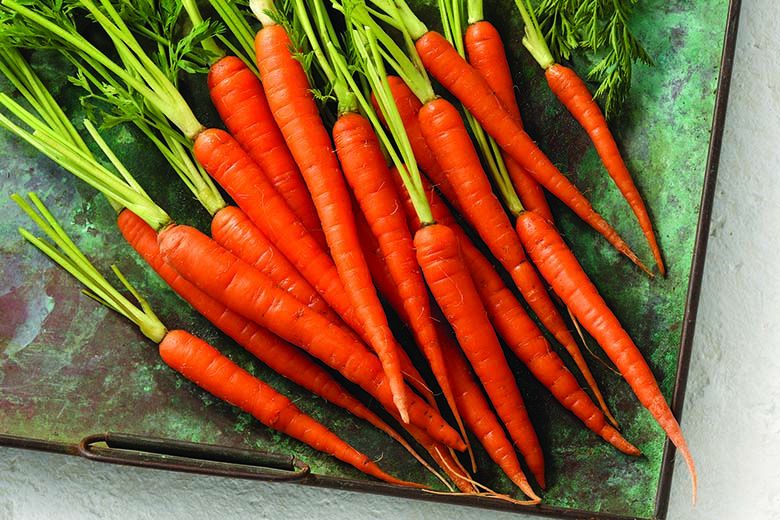 we posting carrots bois?