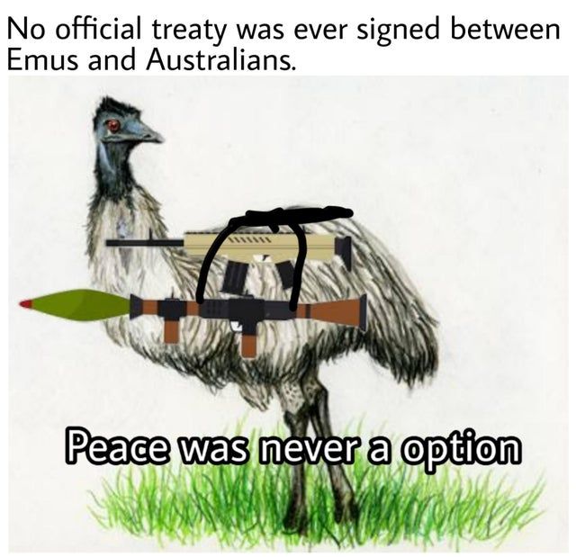 *angry emu noises*