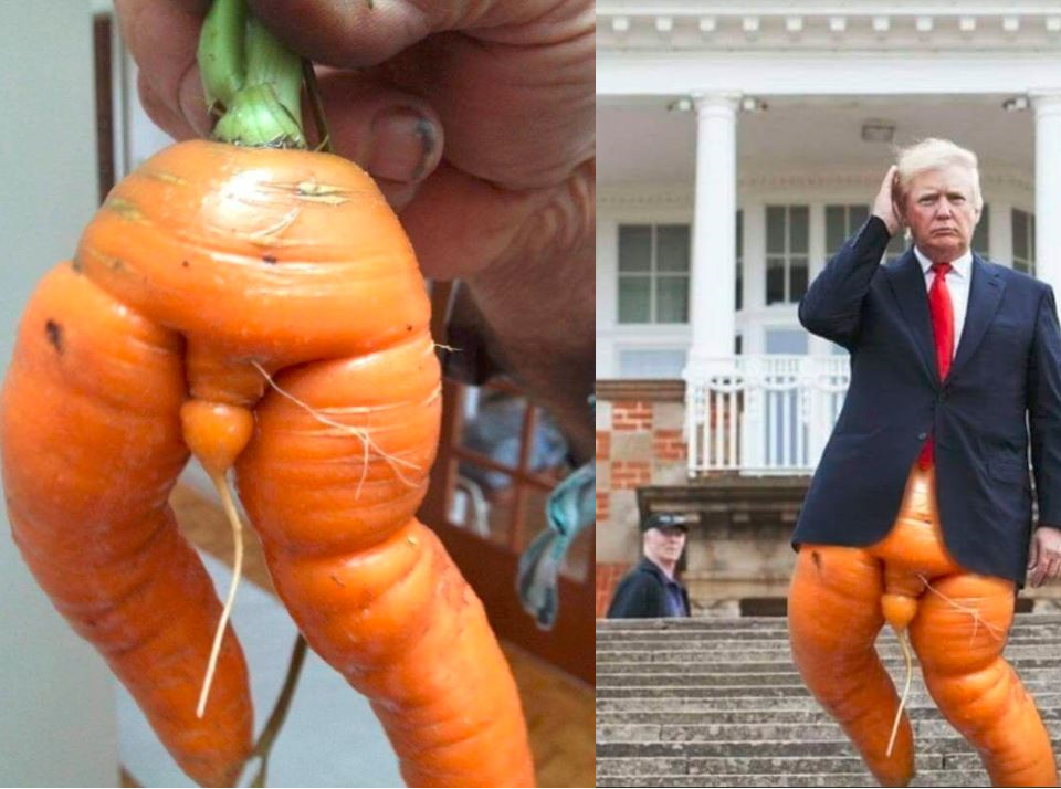 Carrotposting Is the new breadposting?