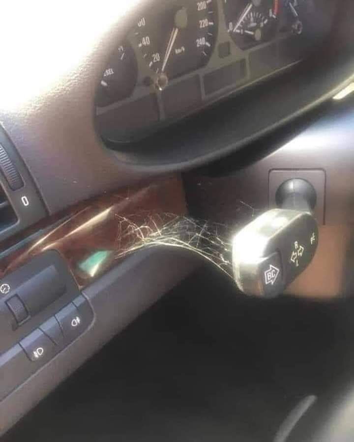 Cobwebs on a BMW turn signal stalk