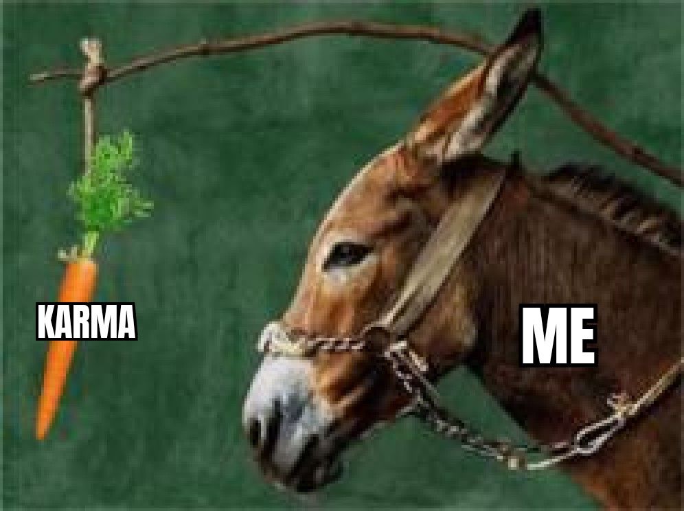 So, what Is your carrot?