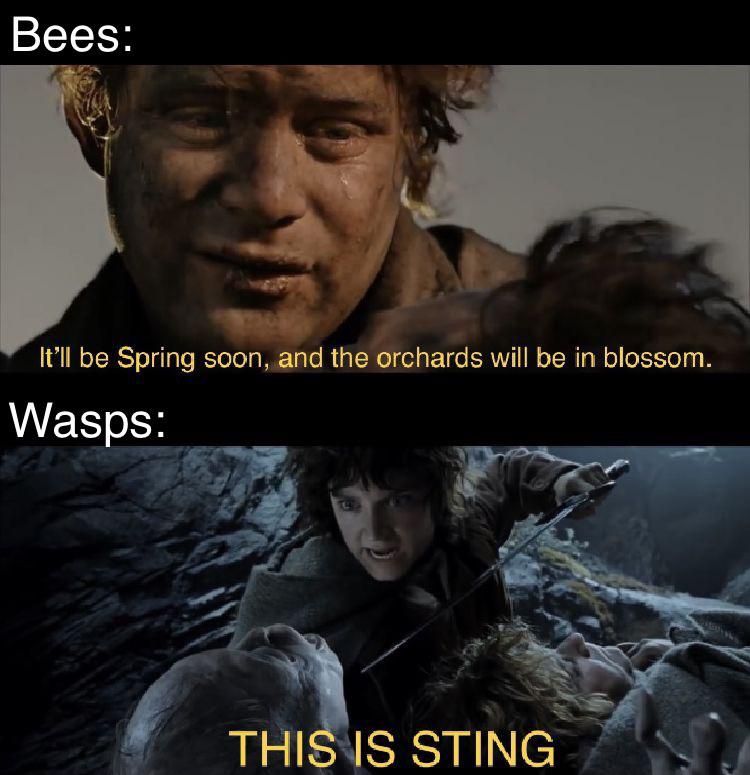 bumblebees: wwwuuuwuuwuwuwuuwuwuwuuwuwuuwwuwuuwuwuwuwuwuwwuwu