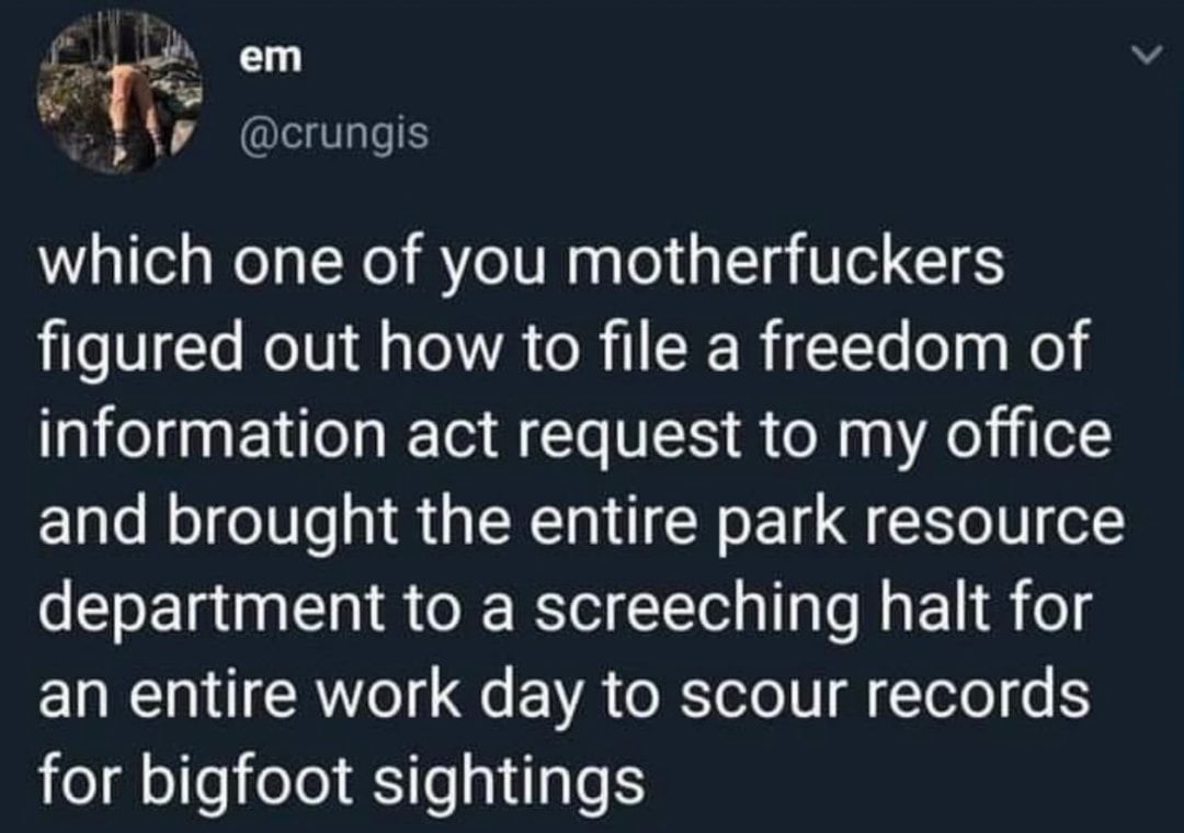 ... who pranked the government