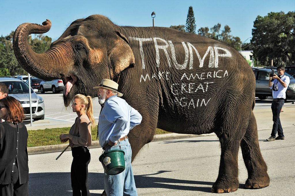 Even the african people are now getting up for trump