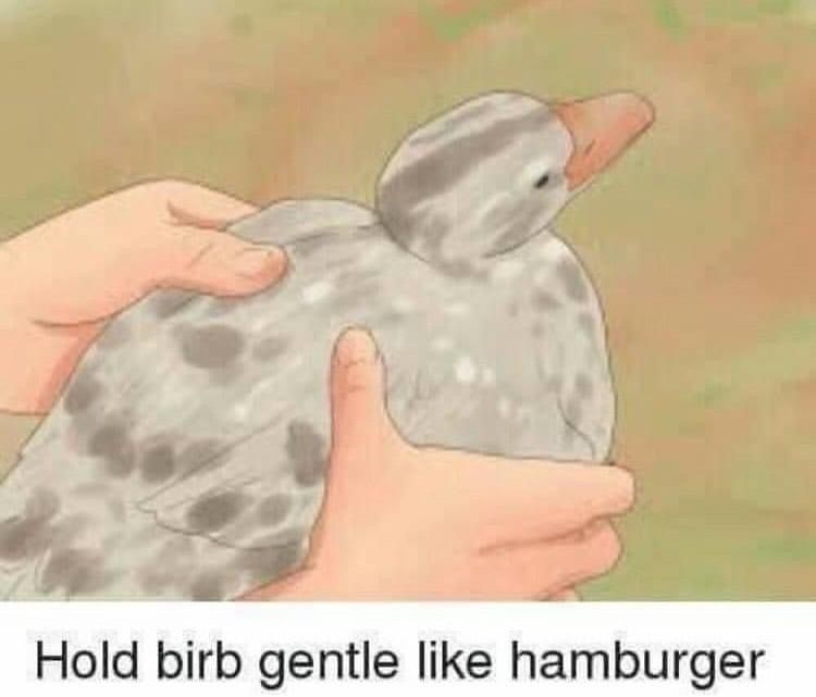 Birbburger