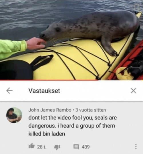 Seal team