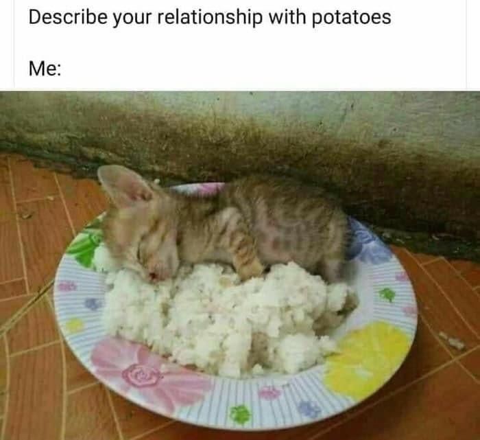 Potates