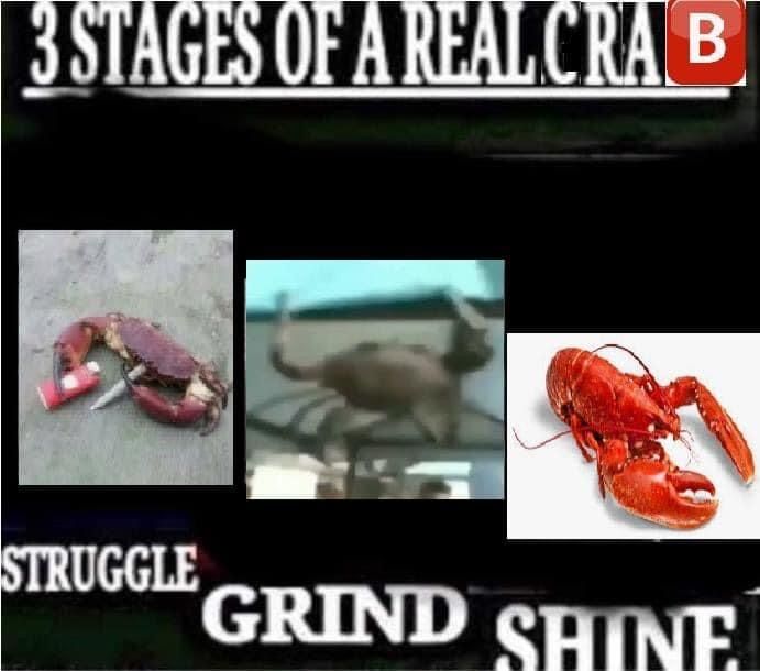 Struggle