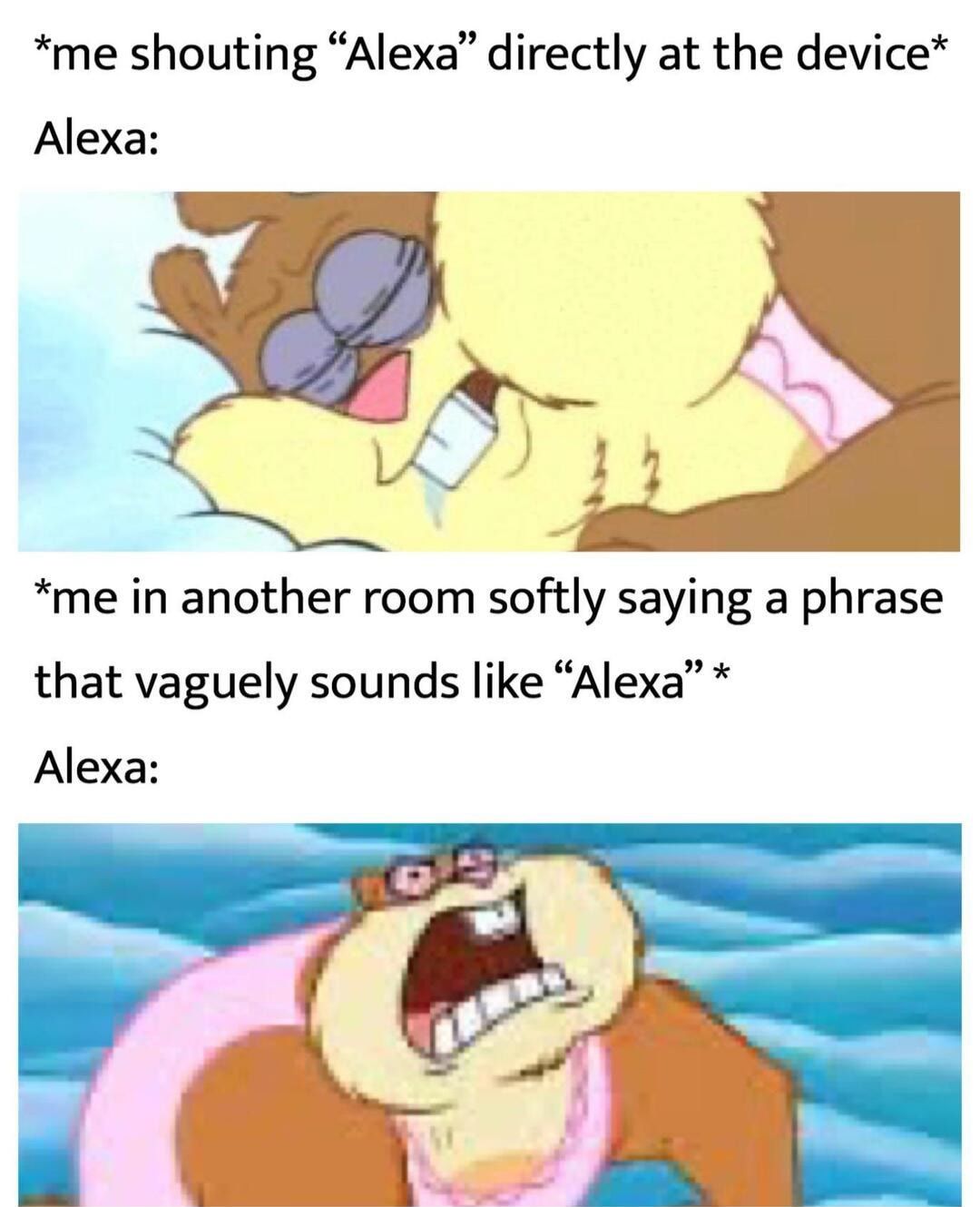 Calm down girl