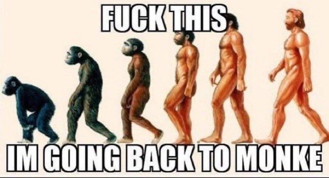 We made a wrong turn somewhere around the Mesolithic Era