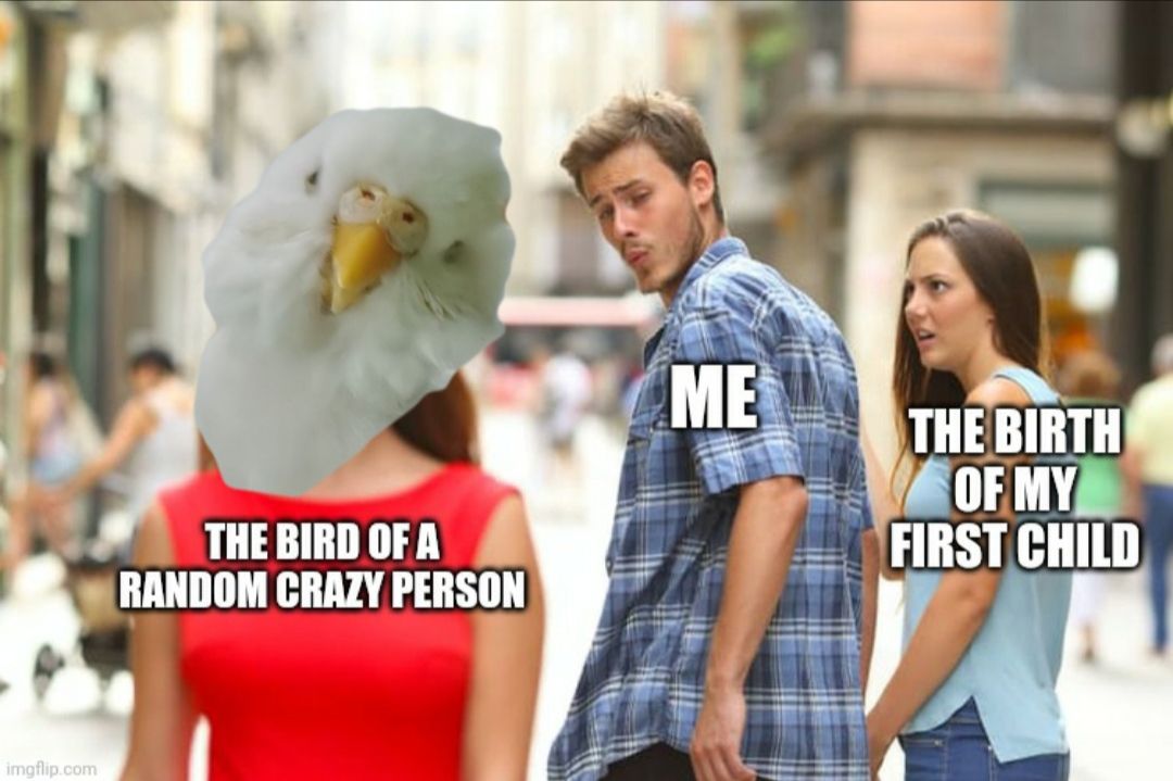 #slobirb in the end it was an easy choice