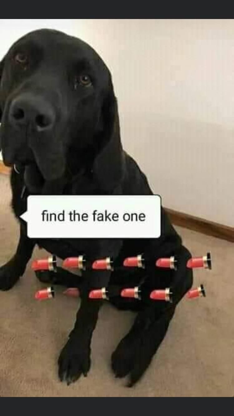 im not laughing, you laughing
