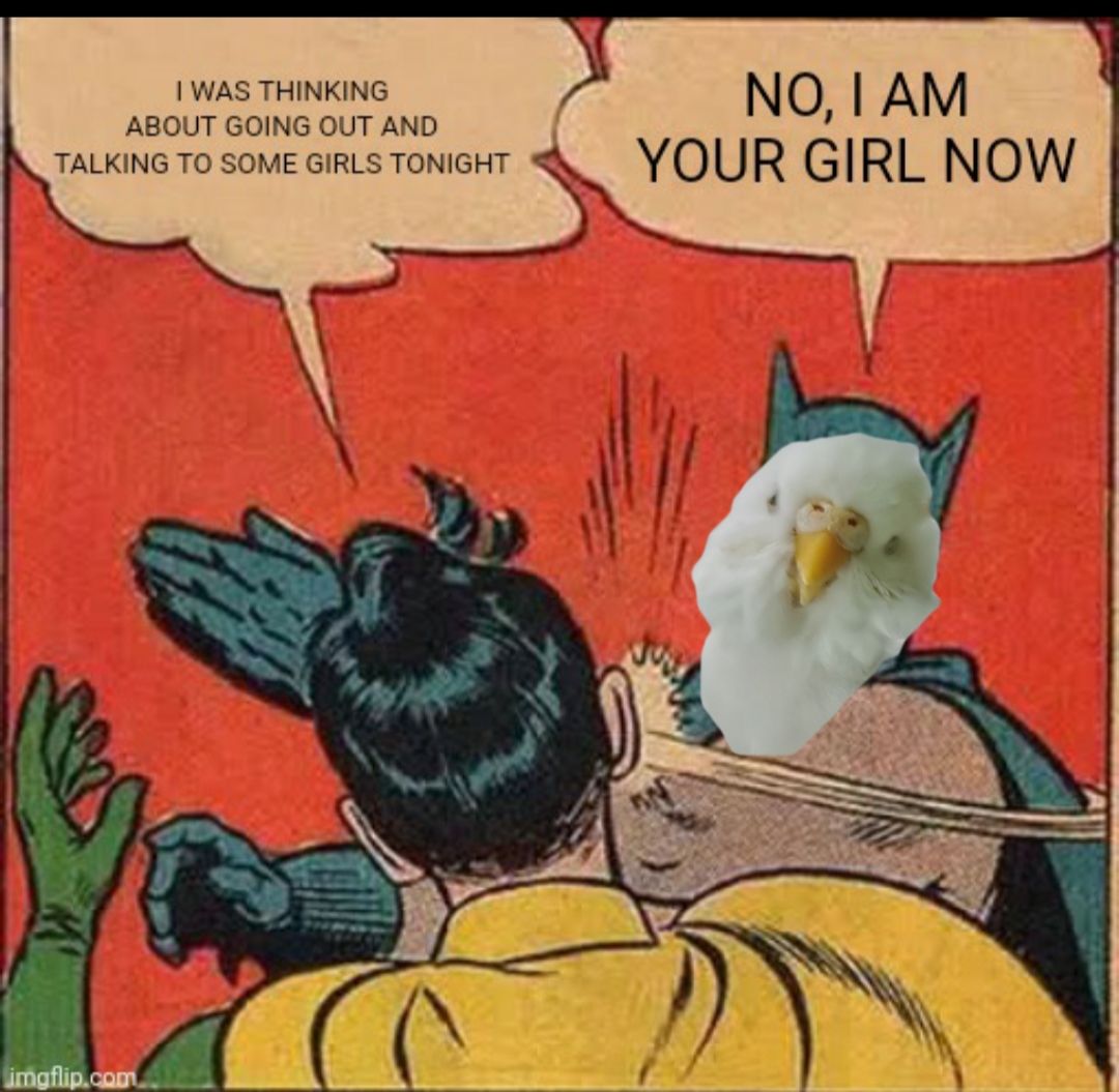 #slobirb she really do be demanding