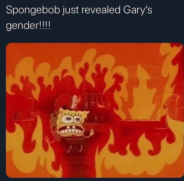gender reveal