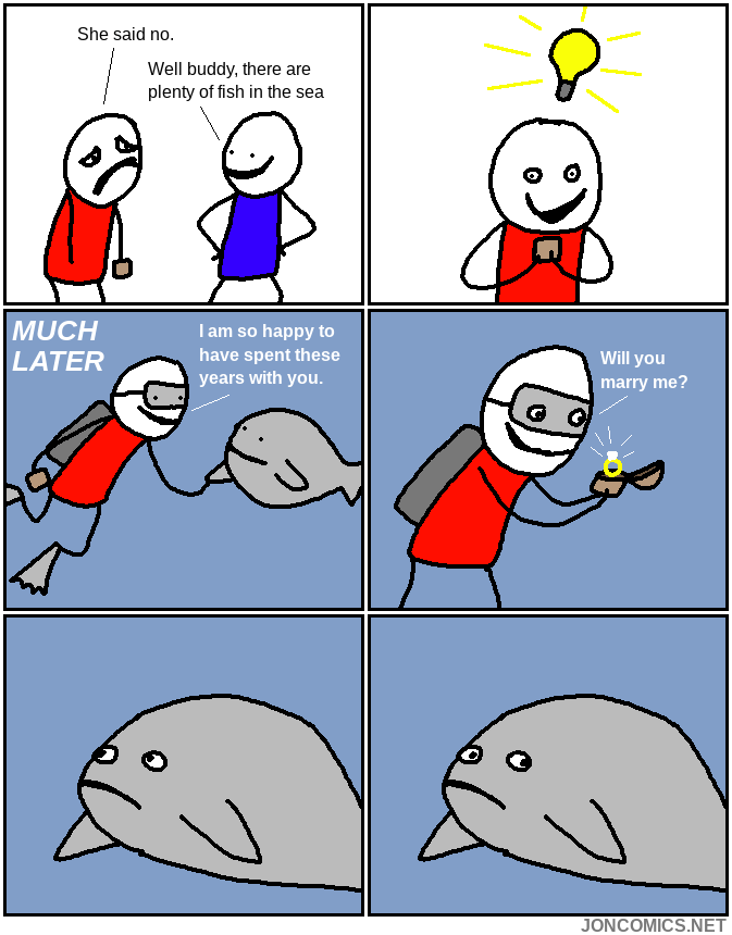 how dolphin porn came to be