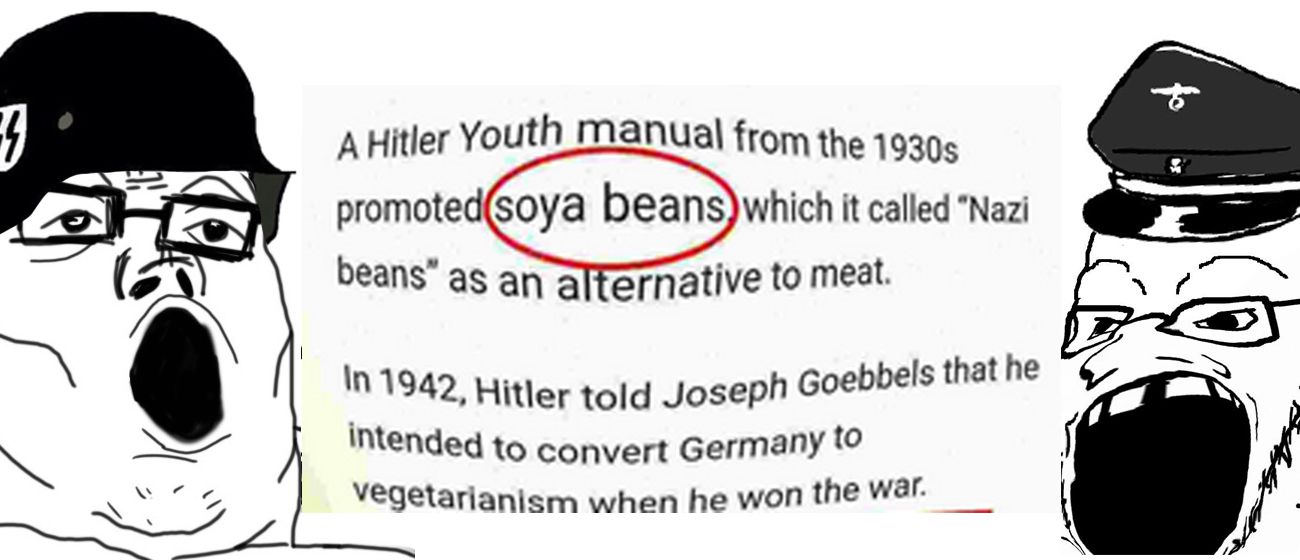 bean pilled