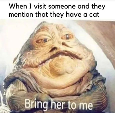 I eat those