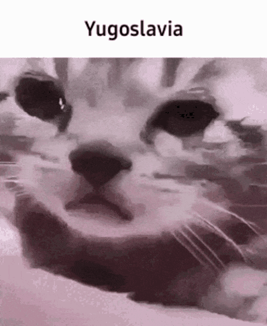 title