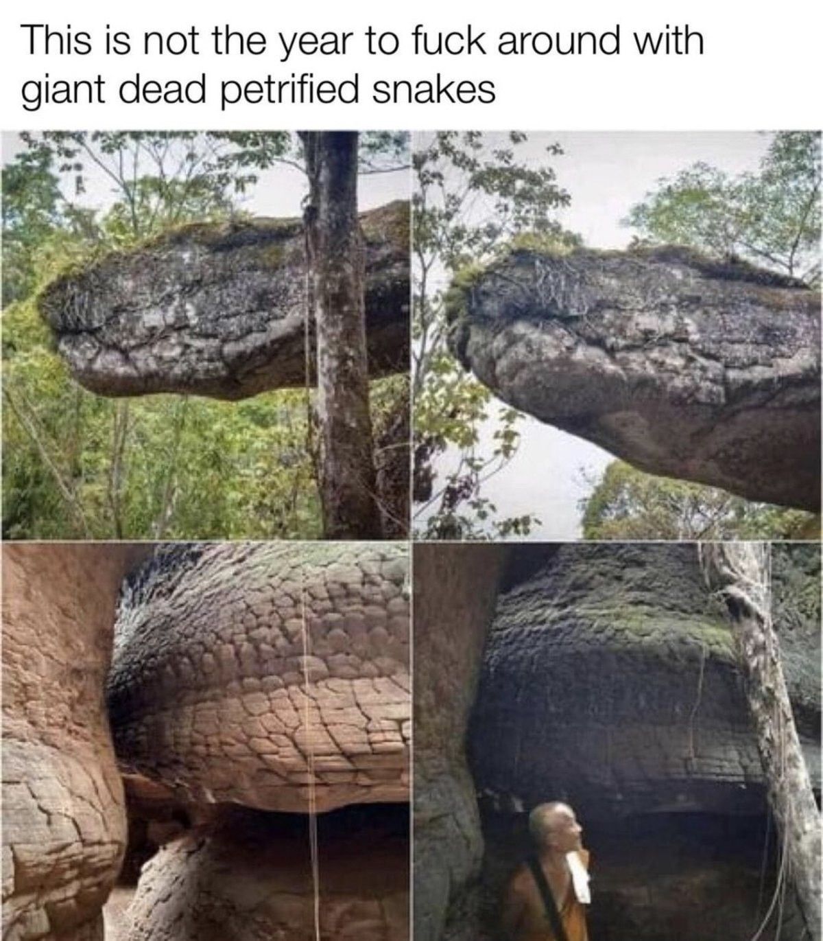 I'm going to fuᴄk around
