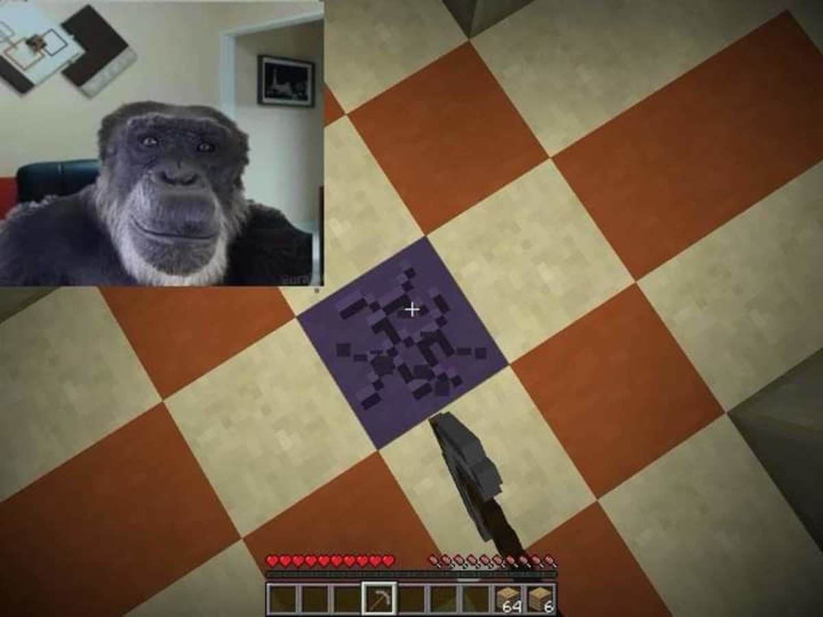 Monke has no place in modernity