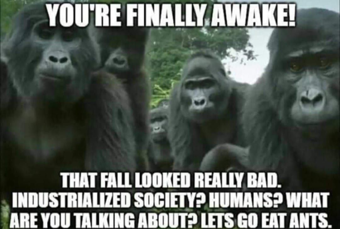 ((primate noises))