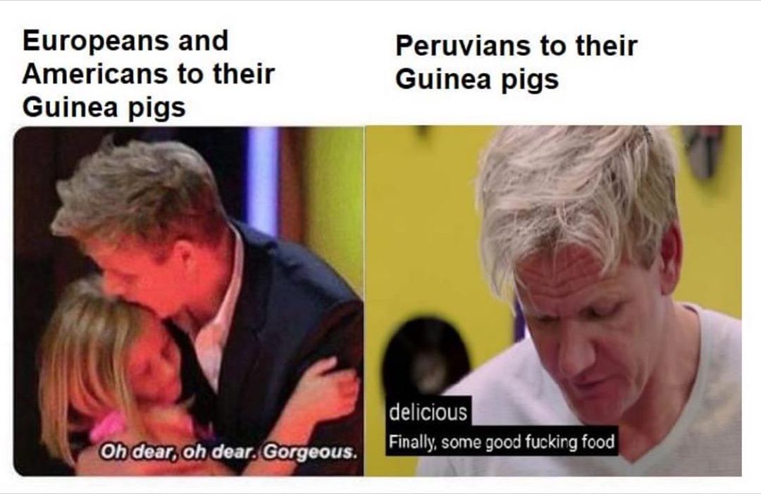 not even a real pig shm