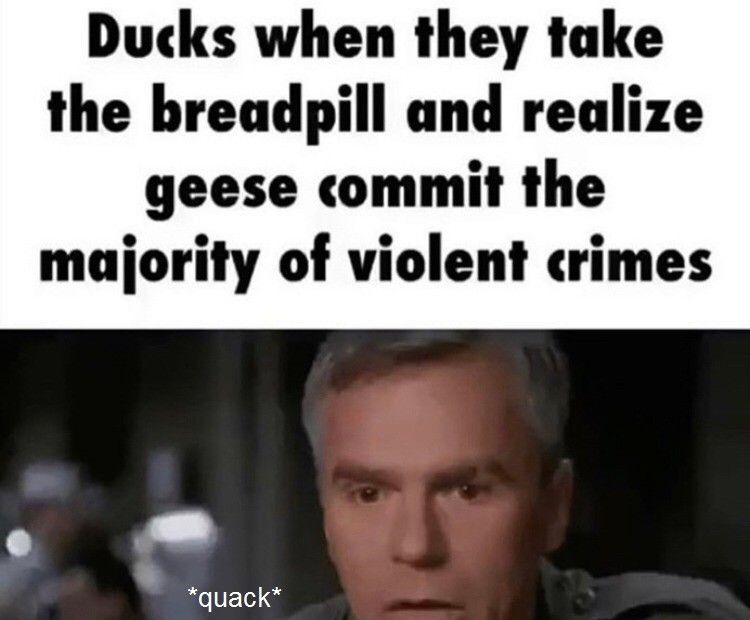 A goose charged at me so I hissed at it