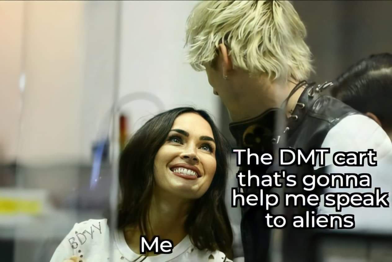 or is yall brehs more into dmt memes