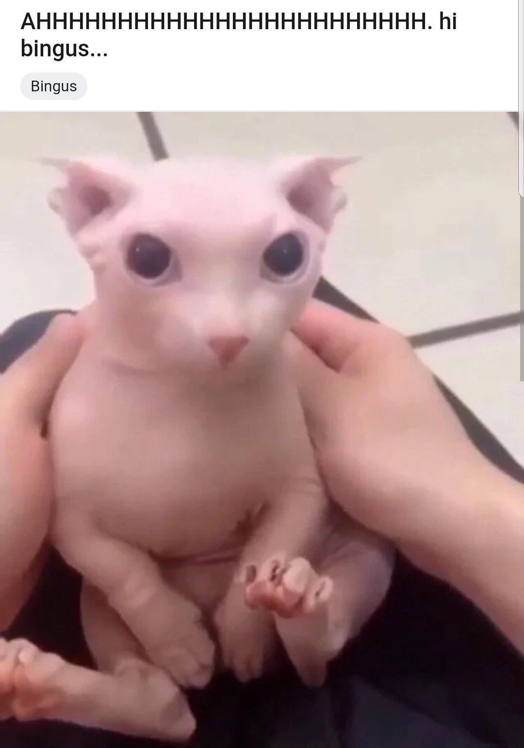 AHHHH
