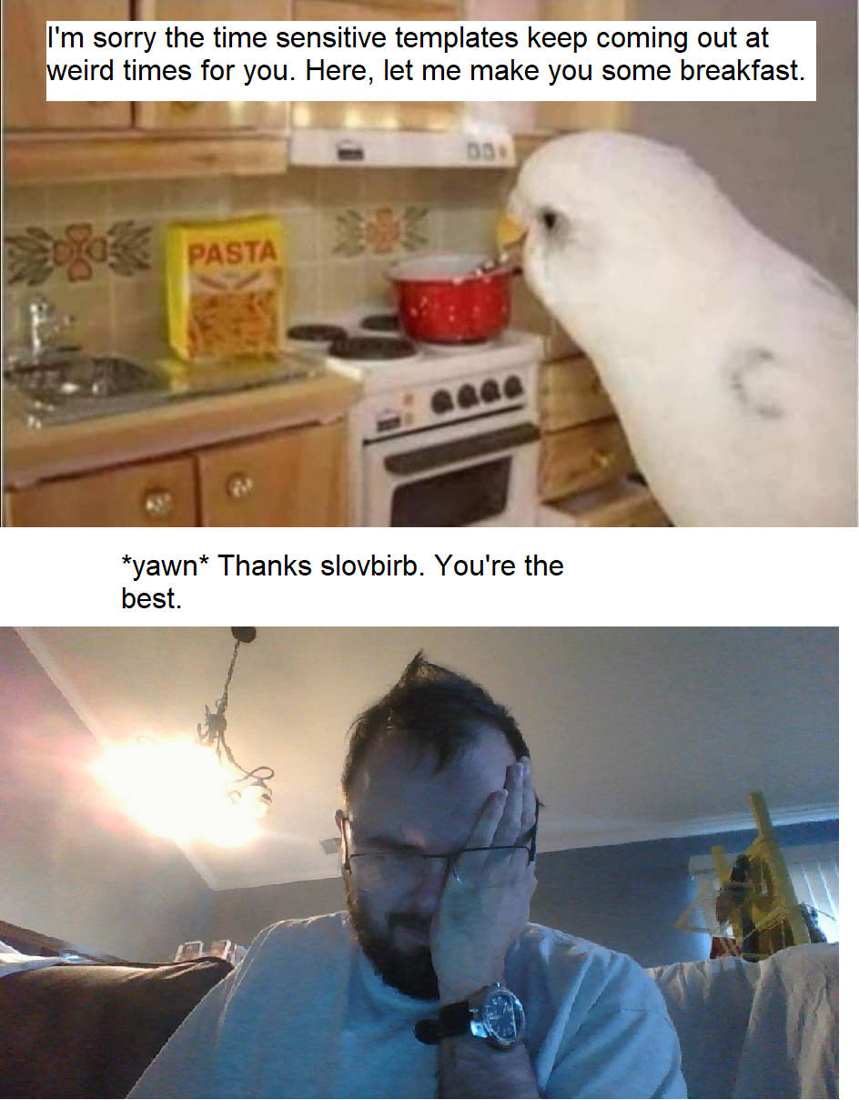 A truly kind birb (#penis)