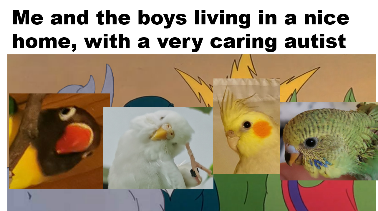 #slobirb birb gang, they all look very happy