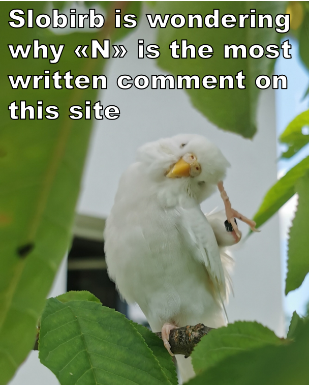 #slobirb why is it though?