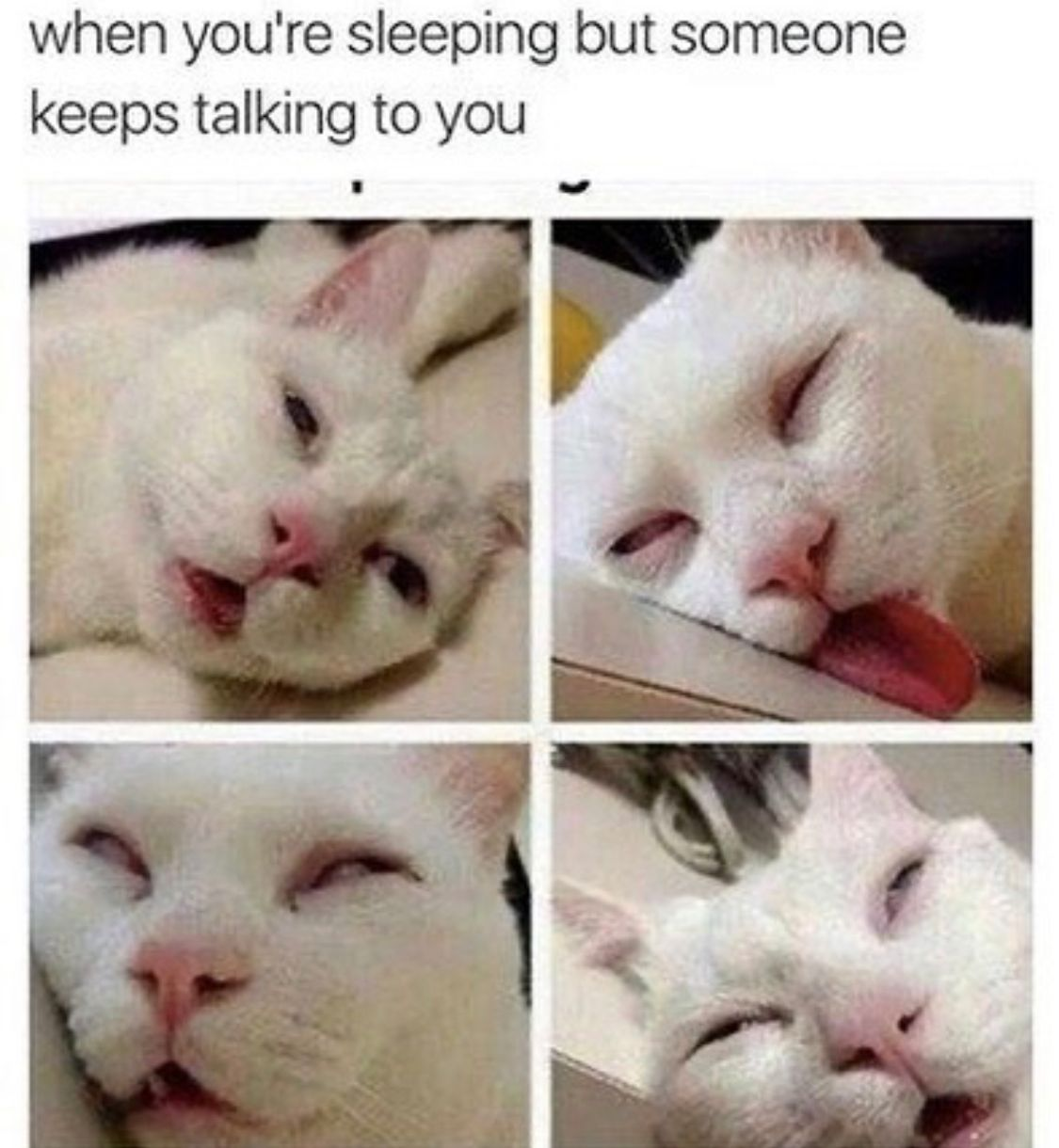 Tell me about communism later