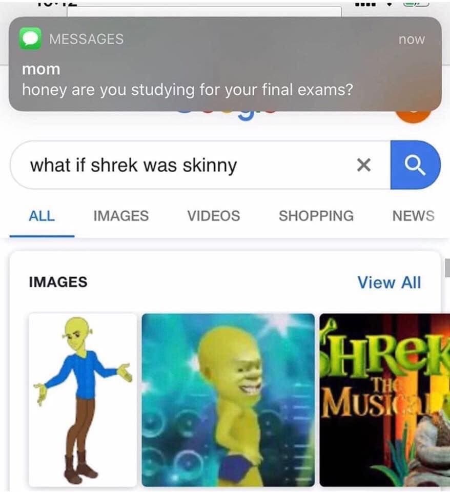 shrek is breh breh