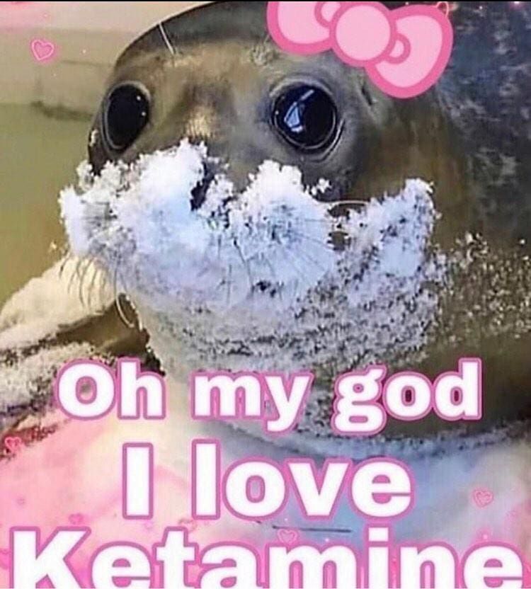 how i'm feeling rn