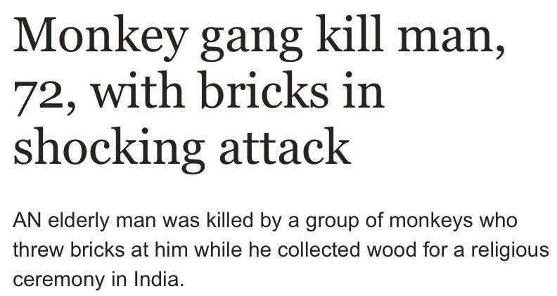 He didn't want to return to monke
