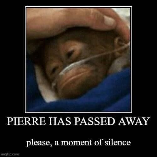 Please