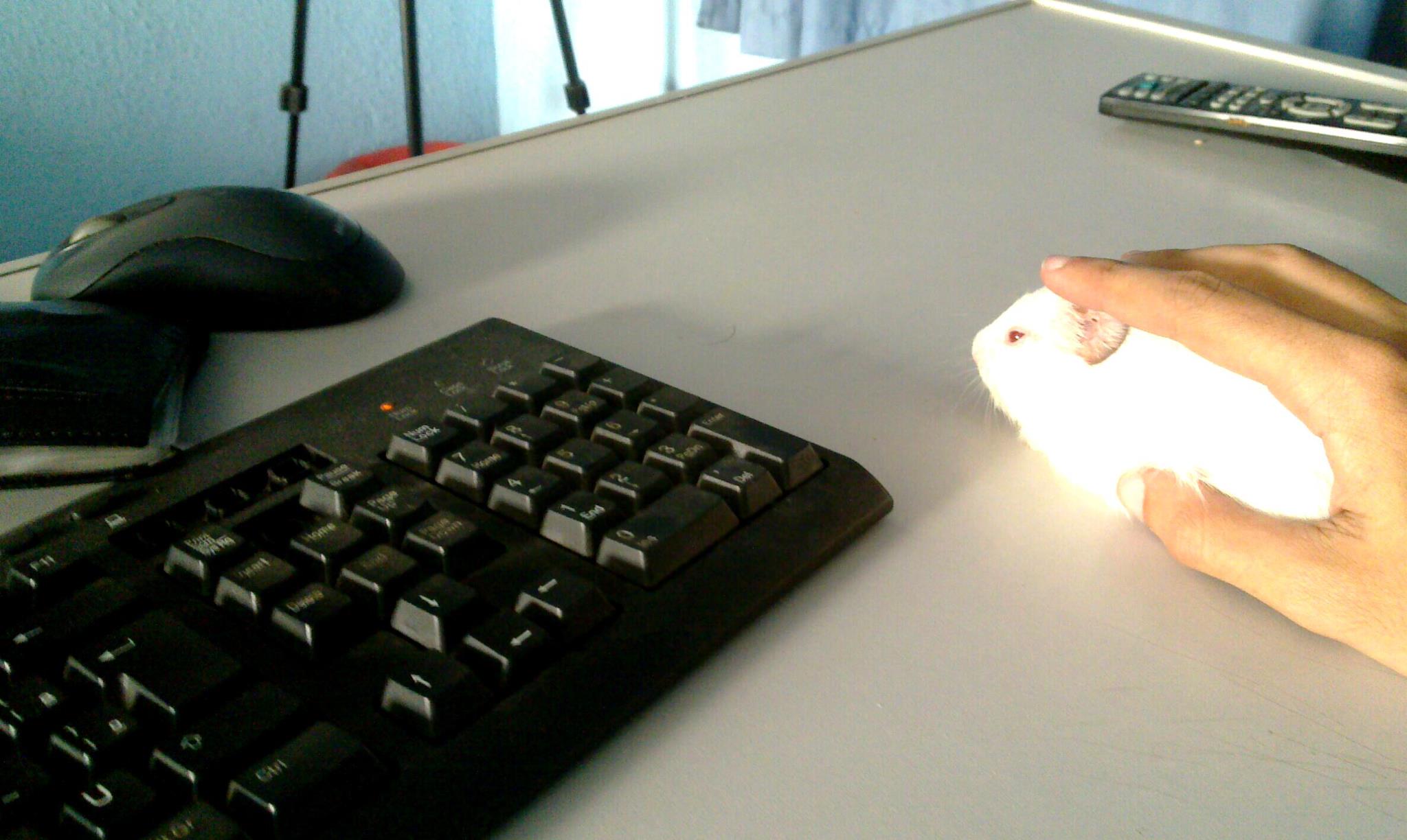 Decided to get myself a new wireless mouse