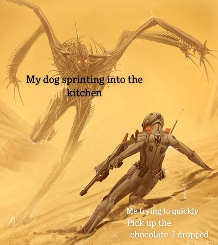 It's a race to the death