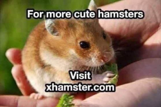 Awwwwww