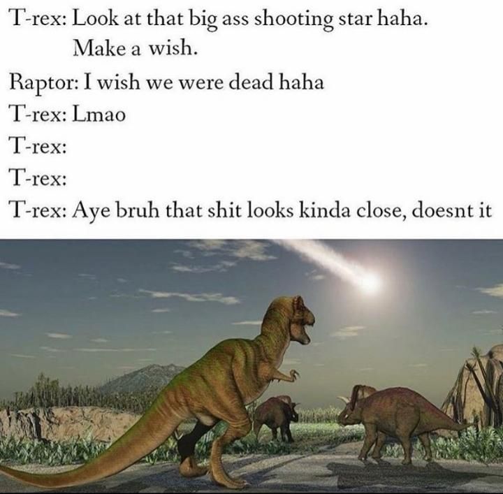 Hmmmmm lmao